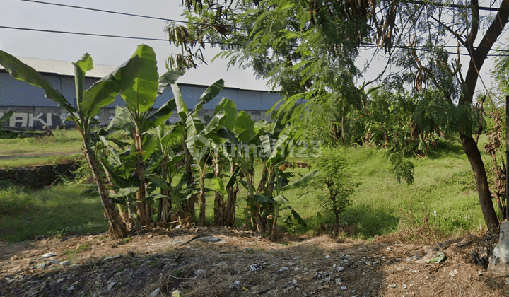 Di Jual Tanah Harga Rendah Cocok Di Bangun Perumahan Atau Gudang 1