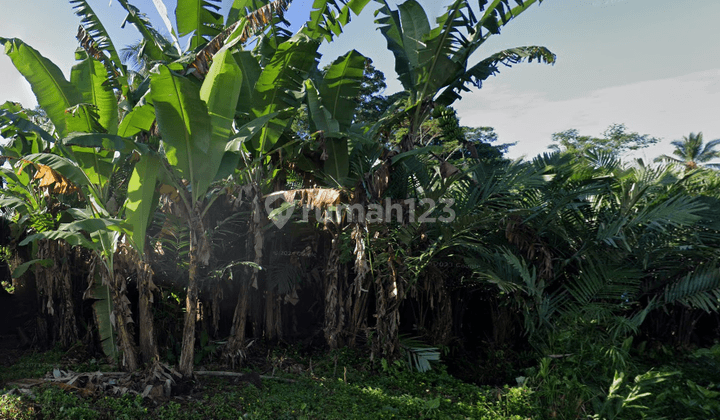 Di Jual Tanah Lokasi Strategis Harga Rendah Cocok Untuk Inves 1