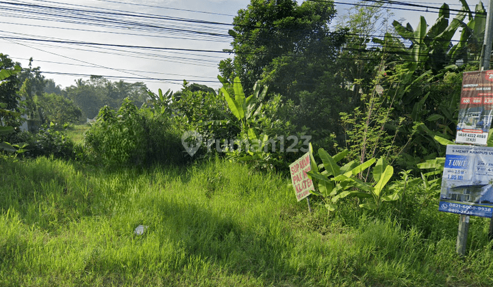 Di Jual Tanah Lokasi Strategis Cocok Di Bangun Ruang Usaha Sleman 2