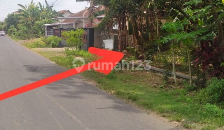 Tanah Murah Aset Mandiri, Kabupaten Banyuwangi