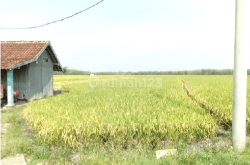 Tanah Murah Aset Mandiri, Kabupaten Ngawi 1