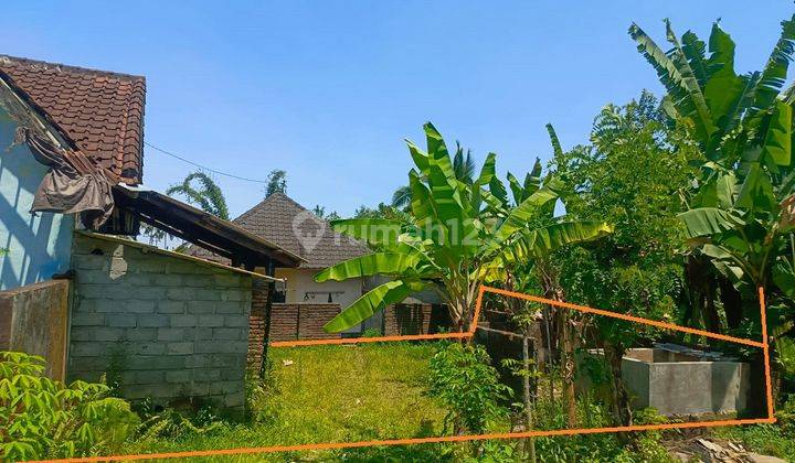 Rumah Murah Aset Mandiri, Lombok Timur, Nusa Tenggara Barat 2