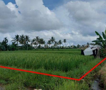 Tanah Murah Aset Mandiri, Kabupaten Banyuwangi 2