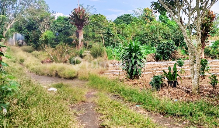 Tanah Murah Aset Mandiri, KABUPATEN/KOTA KARO, PROVINSI SUMATERA UTARA.