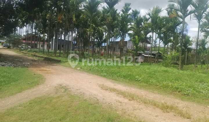 Tanah Aset Mandiri, Jayapura, Papua Selatan Tanah Aset Mandiri, Jayapura, Papua Selatan