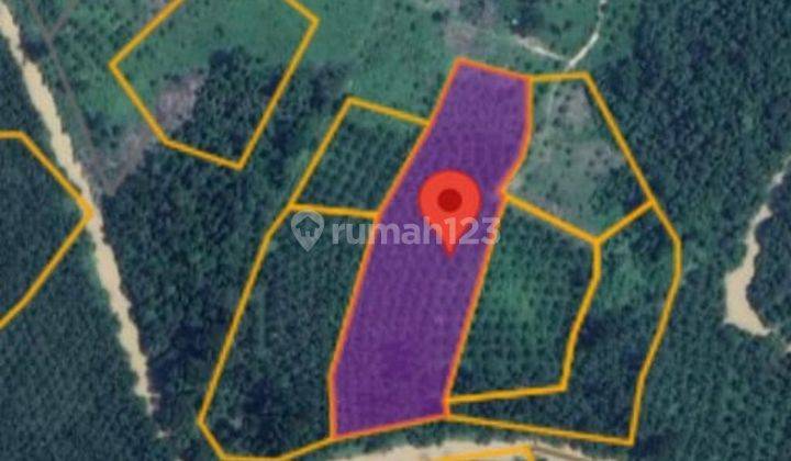 Tanah Murah Aset Mandiri, Nalo Tantan, Jambi