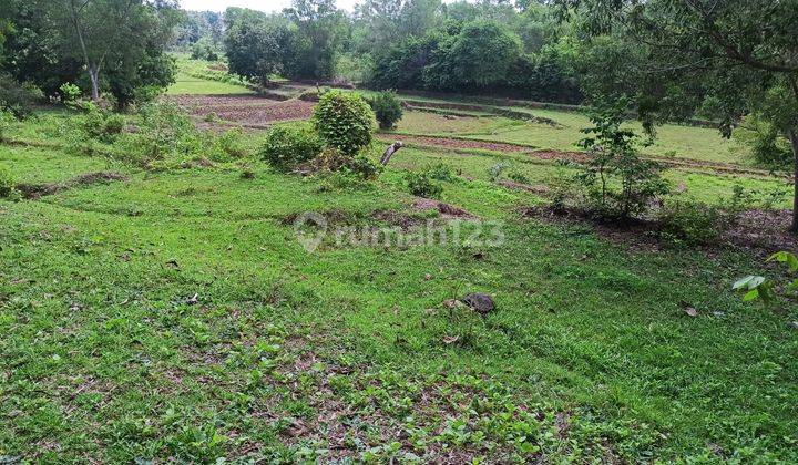 Tanah Murah Aset Mandiri, Ciwandan, Banten 1