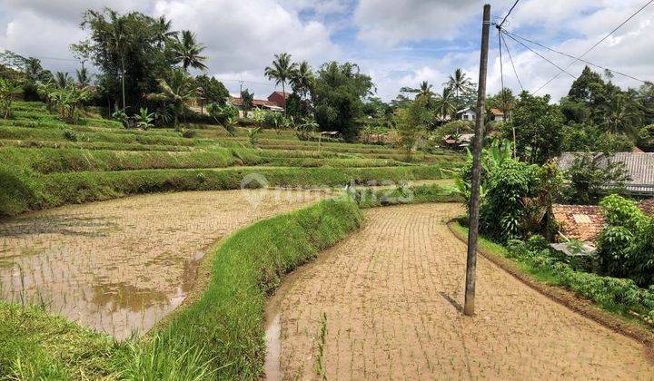 Tanah Murah Aset Mandiri, Nagrek, Sukabumi Jawa Barat 1