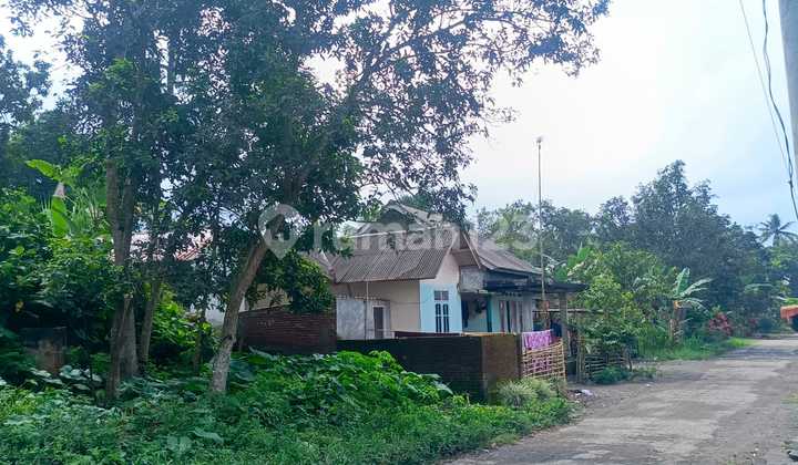 Rumah Murah Aset Mandiri, Masbagik, Lombok Timur, Nusa Tenggara Barat