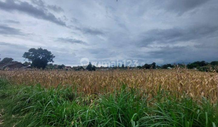 Tanah Murah Aset Mandiri, Kabupaten Situbondo