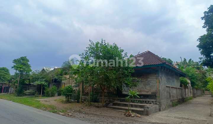Rumah Murah Aset Mandiri, Lombok Timur, Nusa Tenggara Barat 2