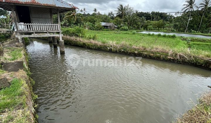Tanah Murah Aset Mandiri, Lombok Barat, Nusa Tenggara Barat