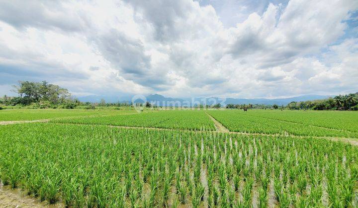Tanah Murah Aset Mandiri, Sarolangun, Jambi
