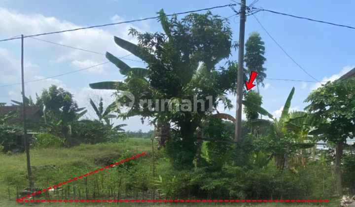 Tanah Murah Aset Mandiri, Kabupaten Madiun