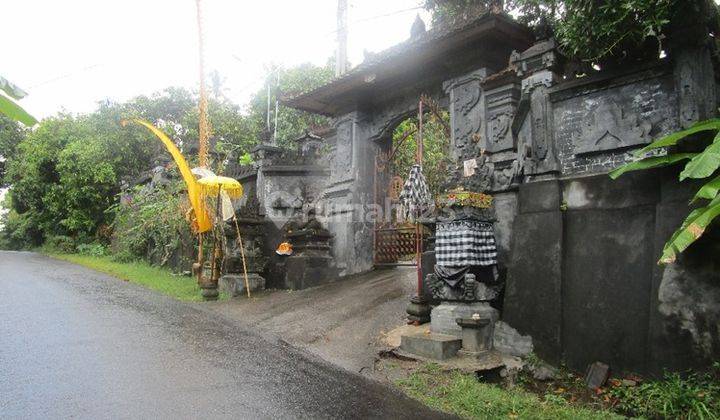 Rumah Murah Aset Mandiri, Buleleng, Bali 2