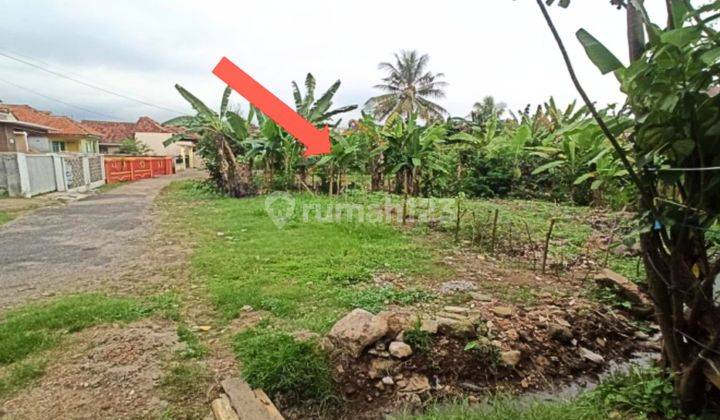 Tanah Murah Aset Mandiri, Labuhan Ratu, Lampung 2