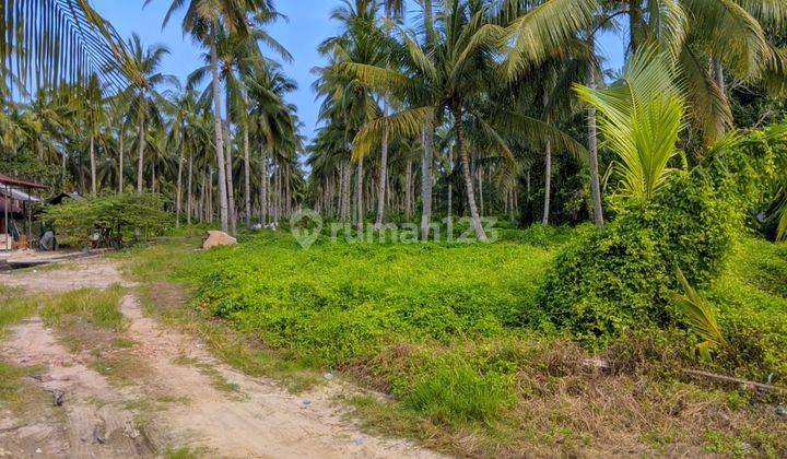 Tanah Aset Mandiri, Long Kali, Kalimantan Timur 2