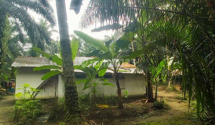 Rumah Murah Aset Mandiri, KABUPATEN/KOTA KAMPAR, PROVINSI RIAU