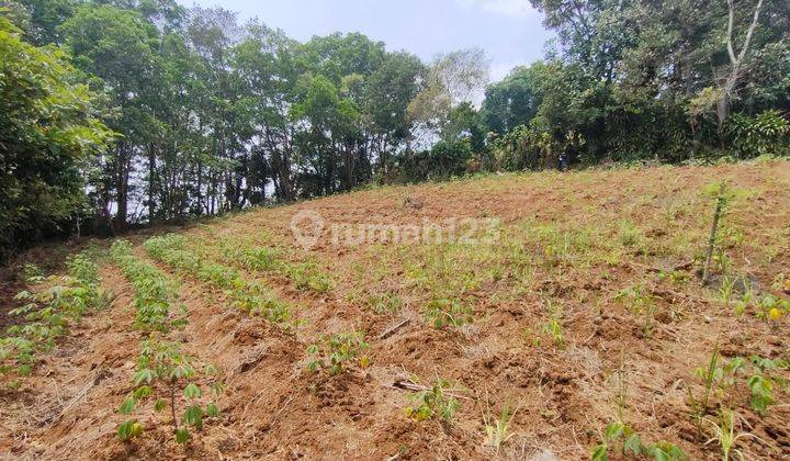 Tanah Aset Mandiri di Kab. Sukabumi, Jawa Barat 1