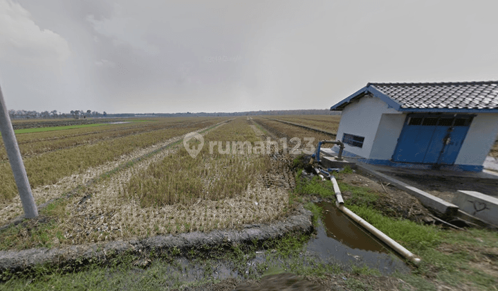 Tanah Murah Aset Mandiri, Kabupaten Ngawi 1