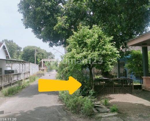 Rumah Murah Aset Mandiri, Kab Tuban 2