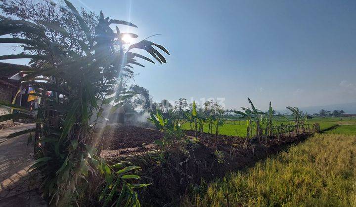 Tanah Aset Mandiri di Majalengka 2