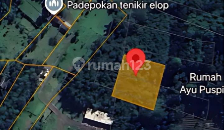Tanah Murah Aset Mandiri, Kabupaten Jember