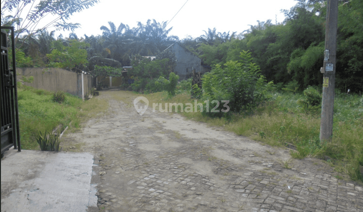 Tanah Murah Aset Mandiri, Kabupaten Serdang Bedagai, Provinsi Sumatera Utara. 2