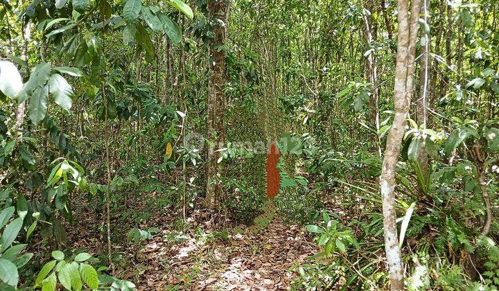 Tanah Murah Aset Mandiri, Baturaja Barat, Sumatera Selatan 2
