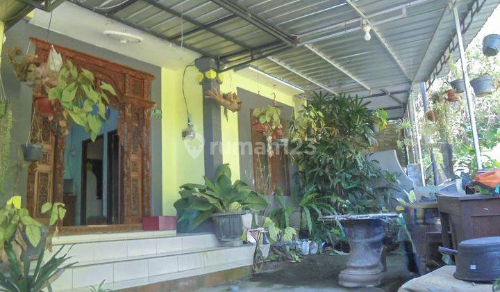 Rumah Murah Aset Mandiri, Tabanan Bali 1