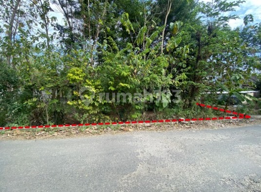 Cheap Land Independent Asset, Ponorogo Regency
