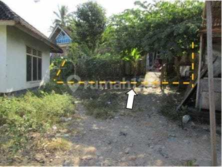 Rumah Murah Aset Mandiri, Lombok Timur, Nusa Tenggara Barat 2