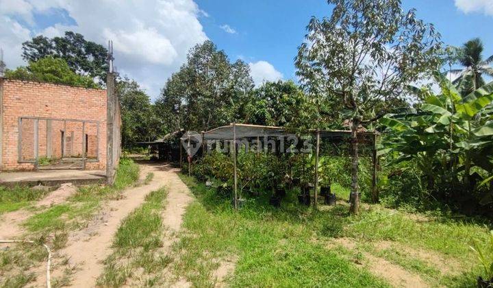 Tanah Murah Aset Mandiri, Indralaya, Sumatera Selatan
