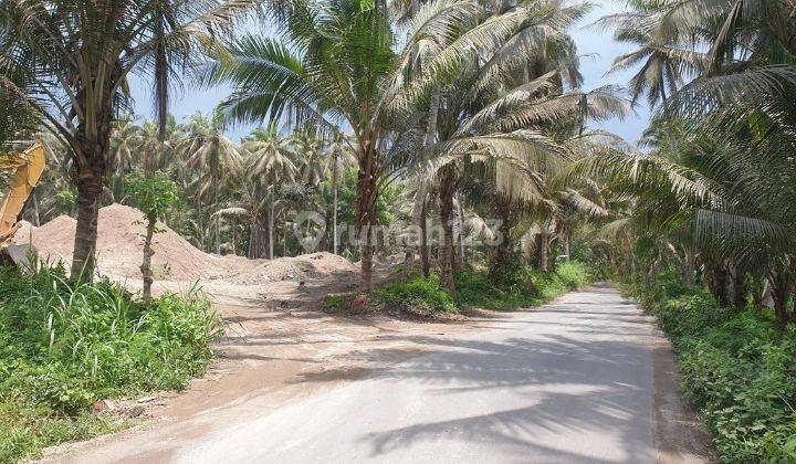 Tanah Murah Aset Mandiri, Lombok Timur, Nusa Tenggara Barat 2