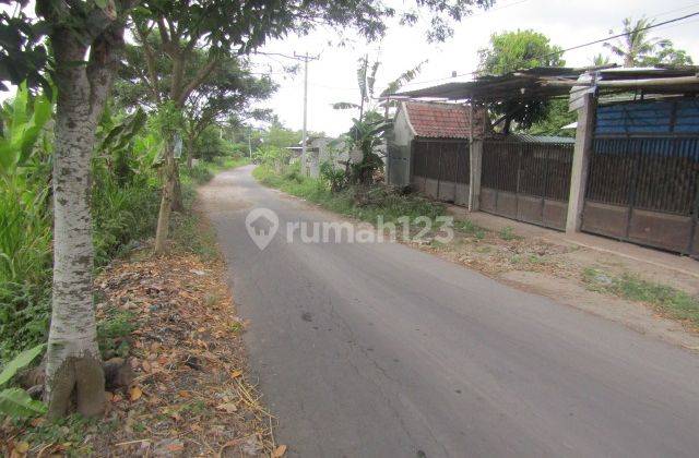 Rumah Murah Aset Mandiri, Lombok Timur, Nusa Tenggara Barat 2