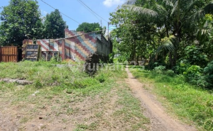 Rumah Murah Aset Mandiri, Kab Banyuwangi