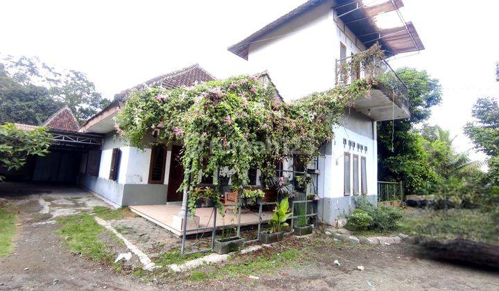 Rumah Murah Aset Mandiri, Kota Banyuwangi 1