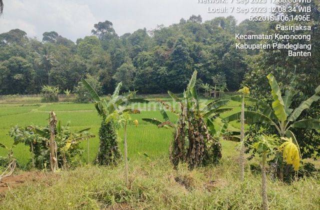 Tanah Murah Aset Mandiri, Keroncong, Banten 2