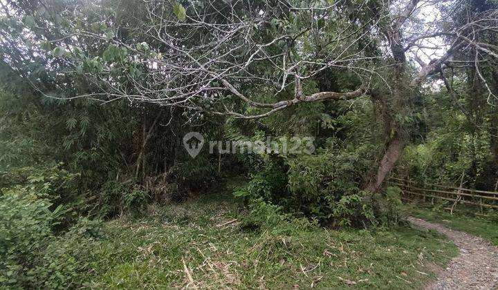 Tanah Murah Aset Mandiri, Koto VII, Sumatera Barat
