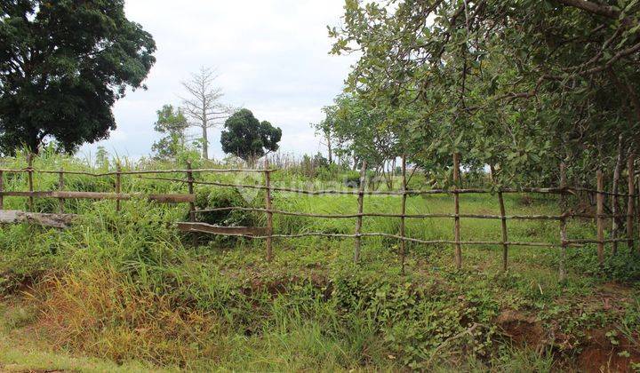 Tanah Aset Mandiri, Merauke, Papua Selatan 2