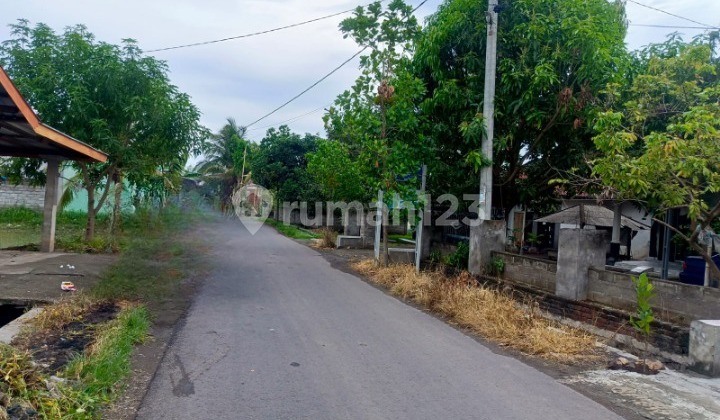 Rumah Murah Aset Mandiri, Lombok Timur, Nusa Tenggara Barat 2