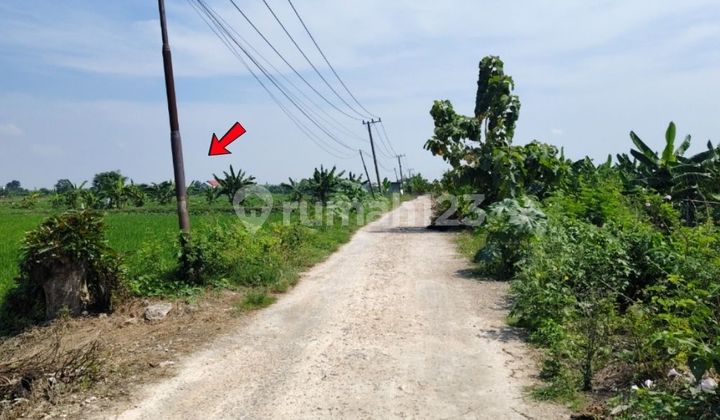 Tanah Murah Aset Mandiri, Kabupaten Lamongan