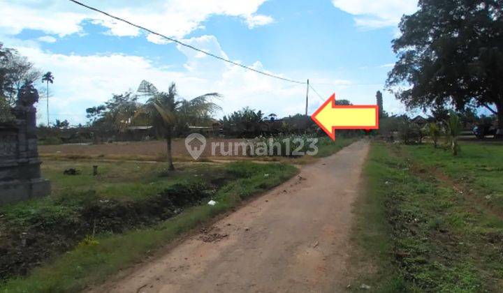 Tanah Murah Aset Mandiri, Seputih Banyak, Lampung 2