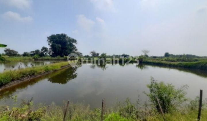 Tanah Murah Aset Mandiri, Kabupaten Gresik