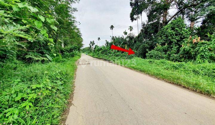 Tanah Murah Aset Mandiri, VII Koto, Jambi
