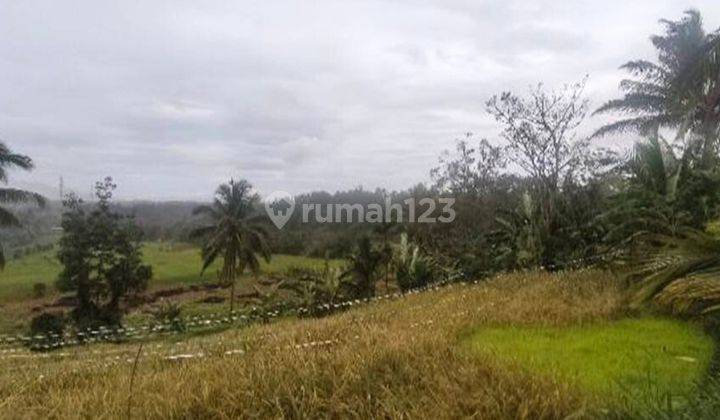 Tanah Murah Aset Mandiri, Gunung Talang, Sumatera Barat