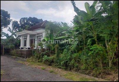 Rumah Murah Aset Mandiri, Buleleng, Bali 2