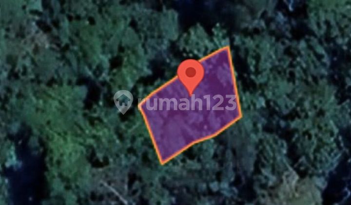 Tanah Murah Aset Mandiri, Lintau Duo, Sumatera Barat