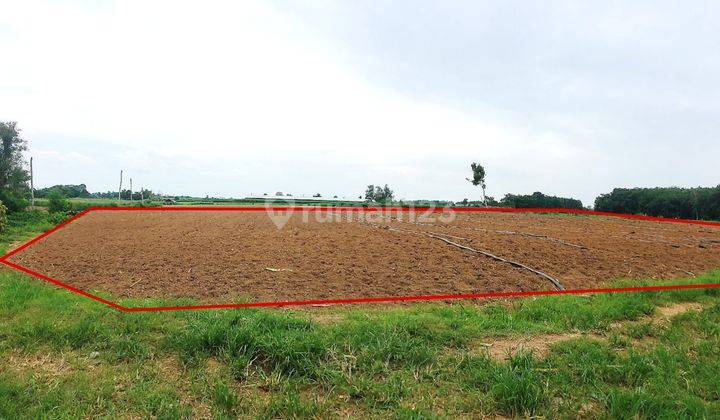 Tanah Murah Aset Mandiri, Lampung Tengah, Lampung 2