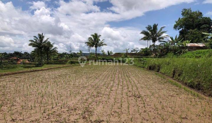 Tanah Murah Aset Mandiri, Nagrek, Sukabumi Jawa Barat 2